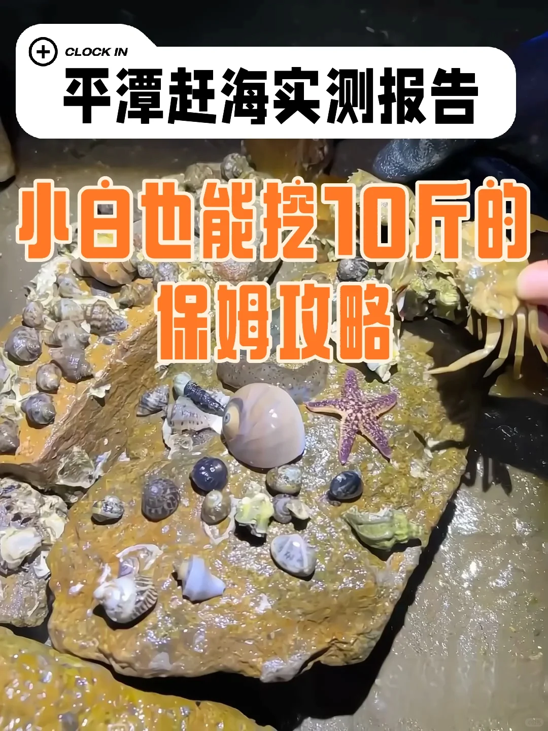 姐妹们！亲测平潭真是江浙沪海鲜后花园啊😭