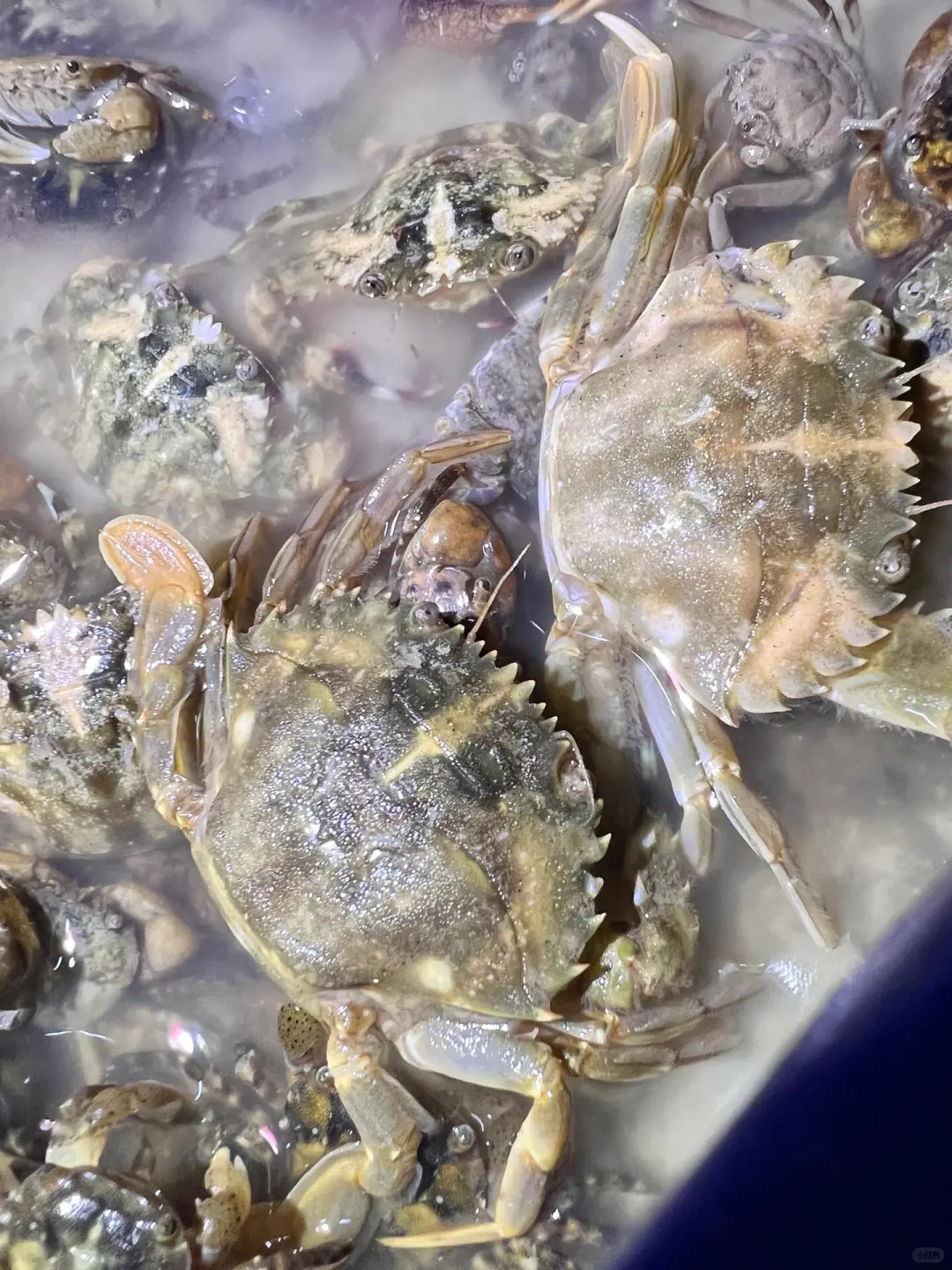 姐妹们！亲测平潭真是江浙沪海鲜后花园啊😭