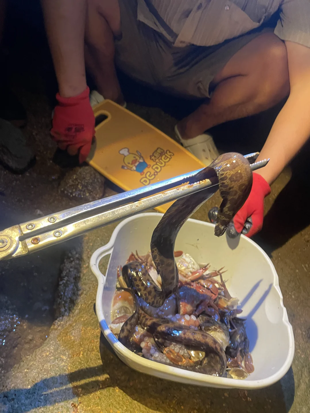 姐妹们！亲测平潭真是江浙沪海鲜后花园啊😭