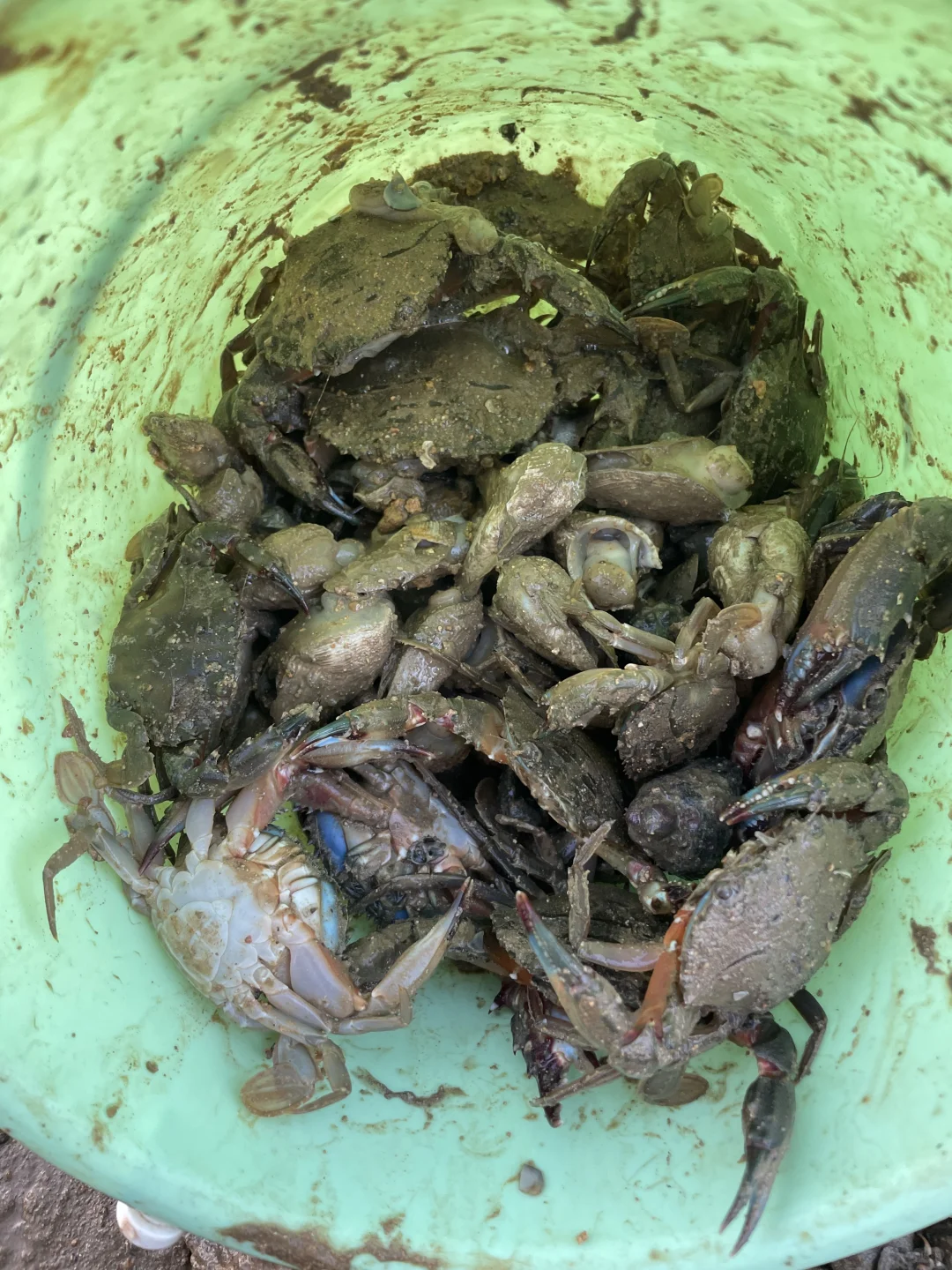 姐妹们！亲测平潭真是江浙沪海鲜后花园啊😭