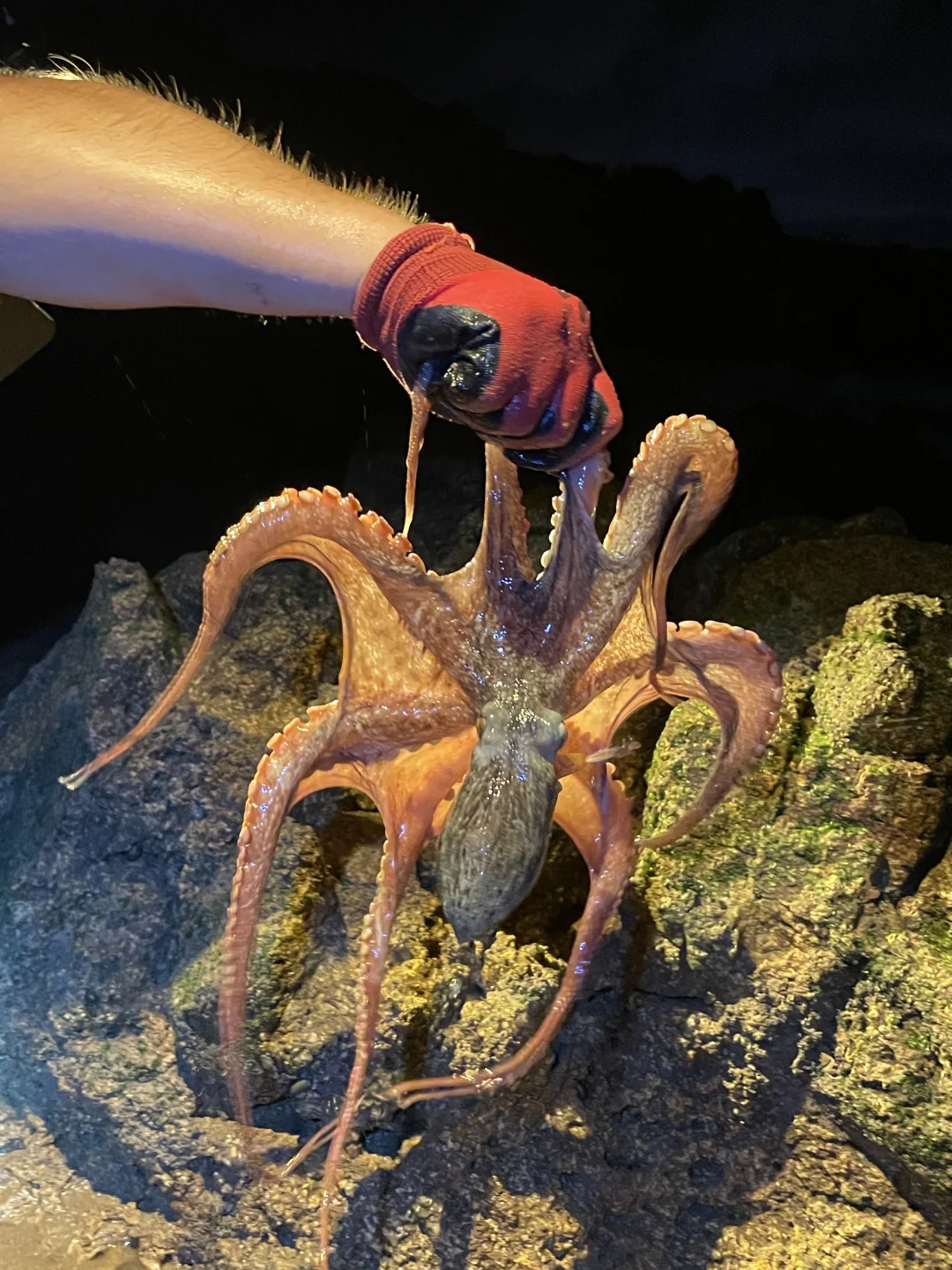 姐妹们！亲测平潭真是江浙沪海鲜后花园啊😭