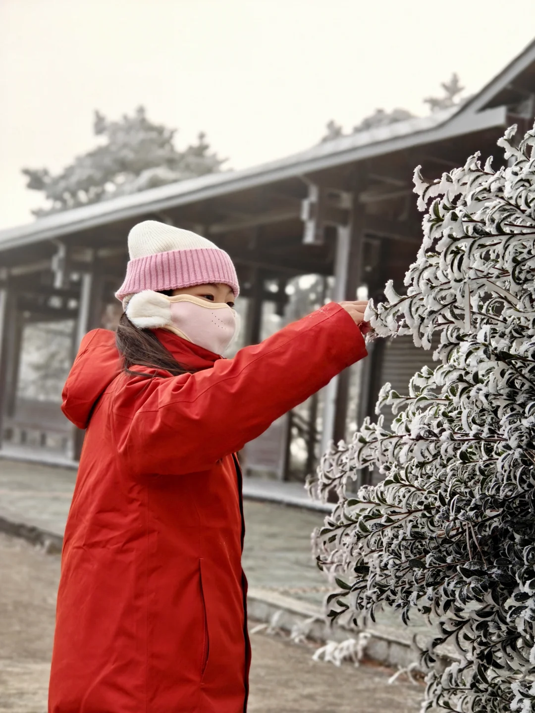 距福州2h🚗:黄山平替，带娃赏雾凇观云海