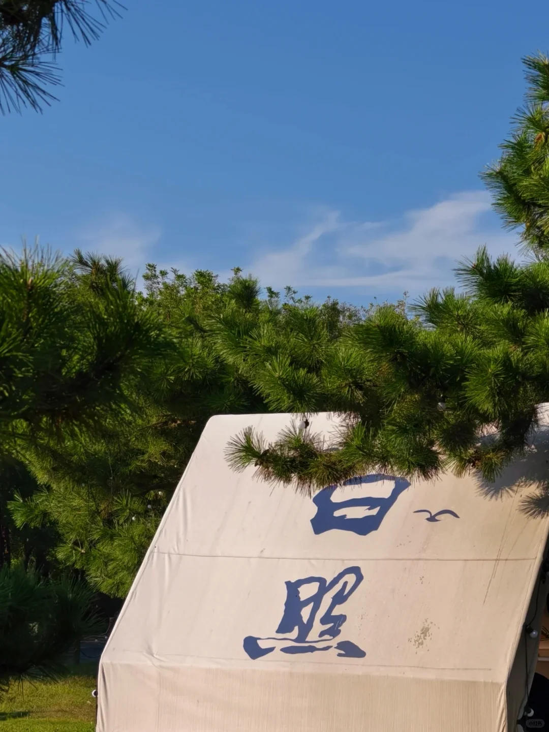 📍日照三天两夜｜本地人手写旅游攻略