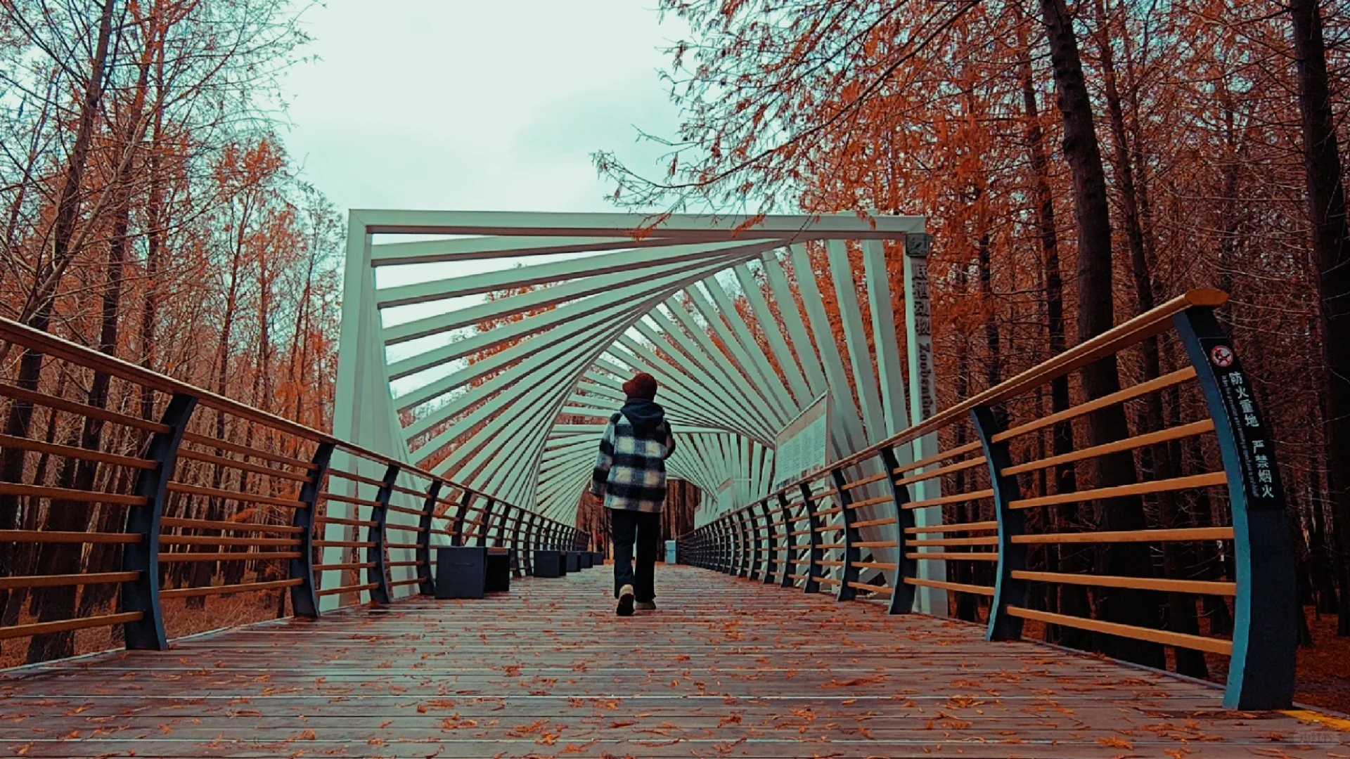 世界十大湿地之一我去过了