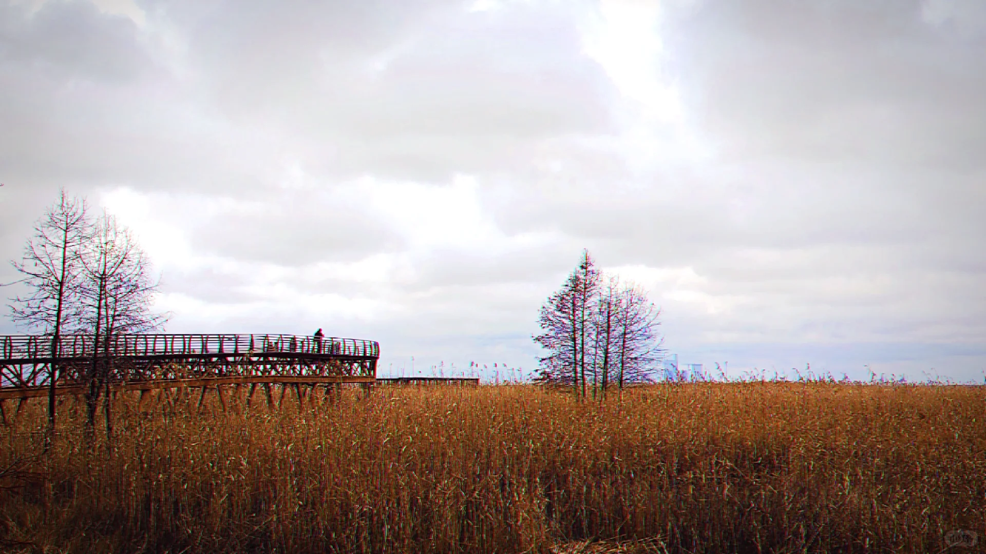世界十大湿地之一我去过了