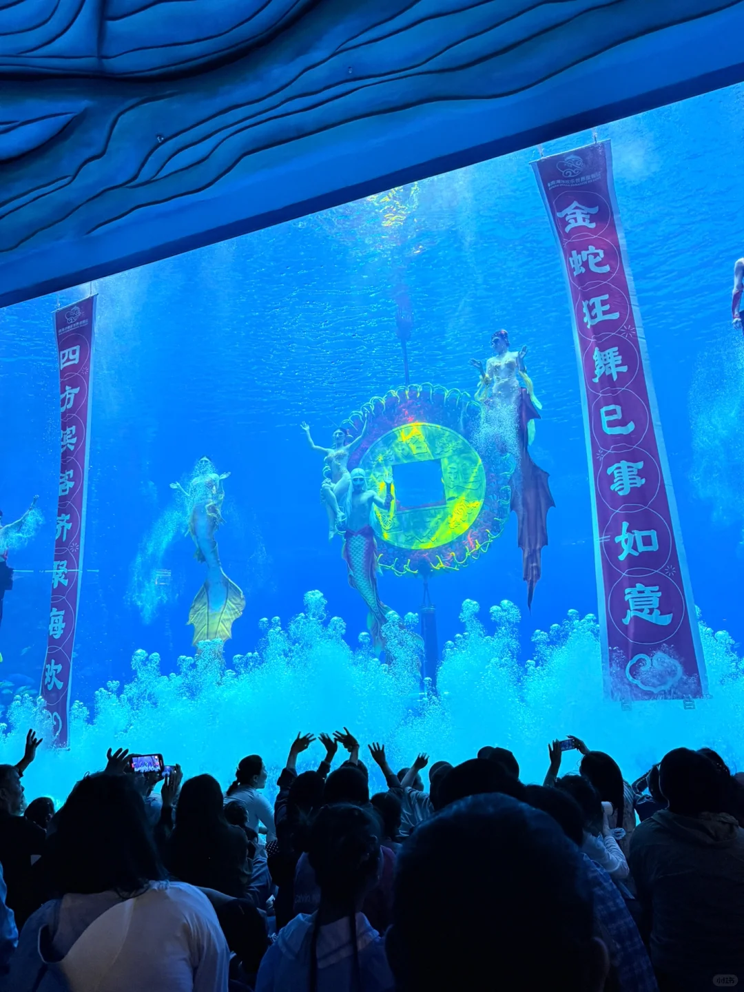 海南海洋欢乐世界亲子新春游✨保姆级攻略🔥