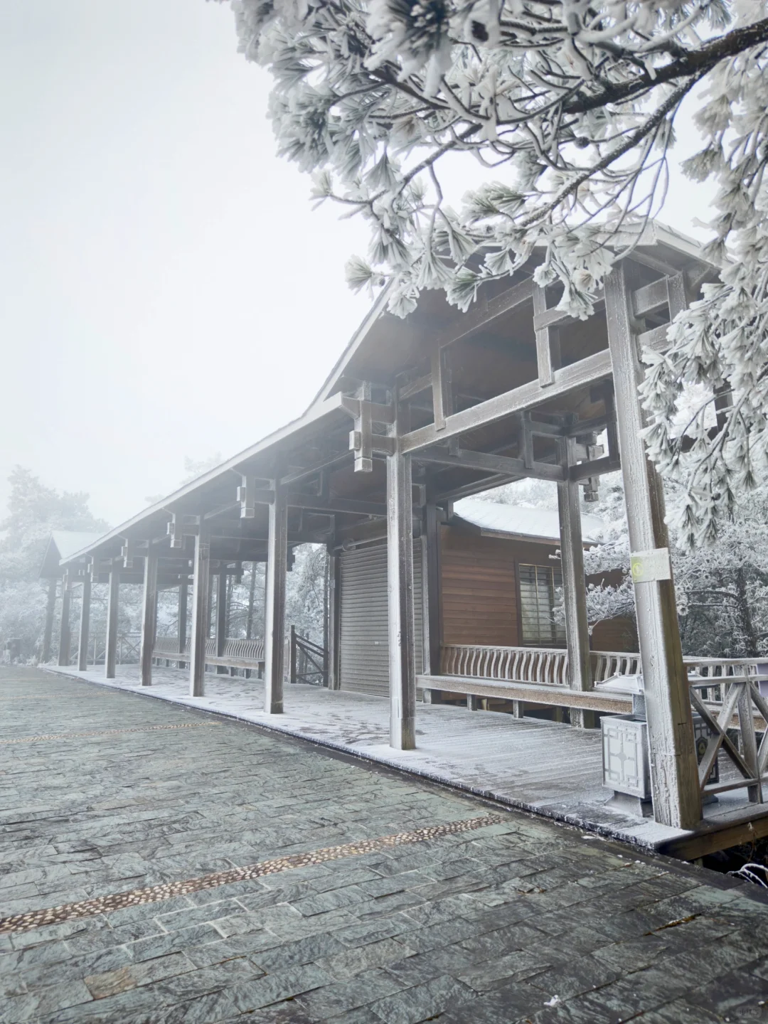 距福州2h🚗:黄山平替，带娃赏雾凇观云海