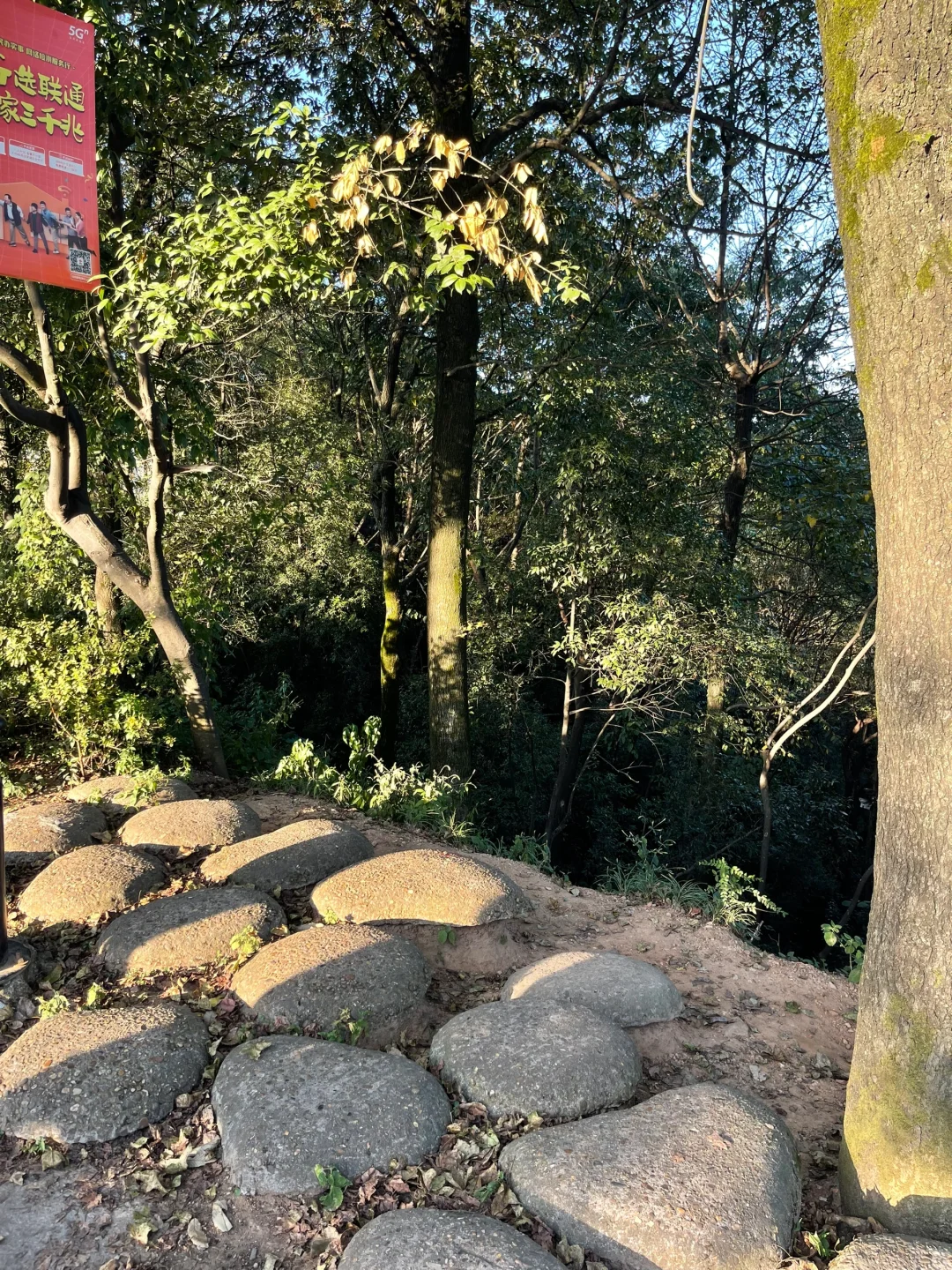 景区的车车载着到处走