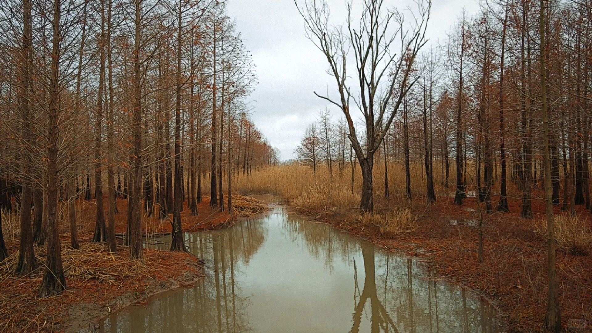 世界十大湿地之一我去过了