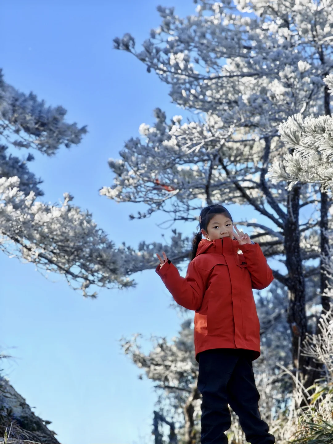 距福州2h🚗:黄山平替，带娃赏雾凇观云海