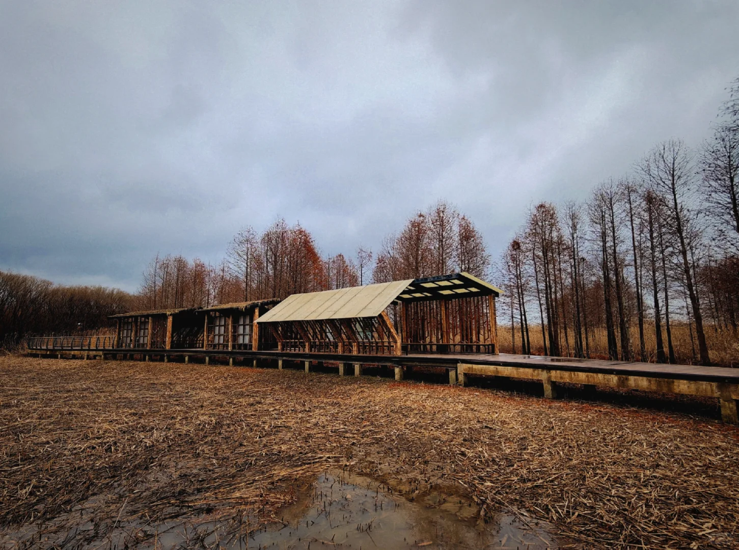 世界十大湿地之一我去过了