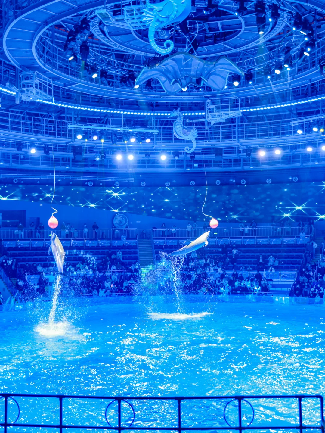 当海洋和非遗融合,我被这年味狠狠震撼到了!