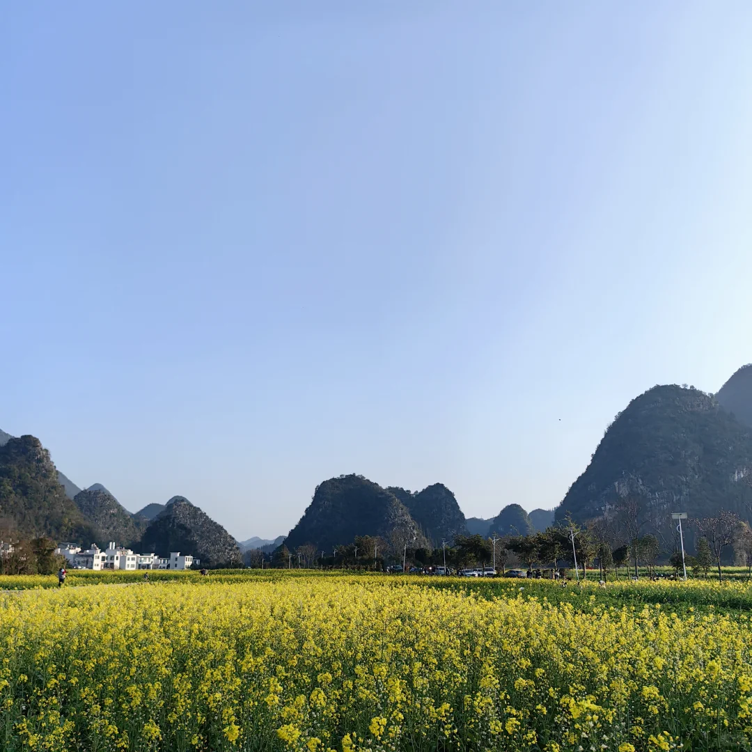 1.31的兴义万峰林