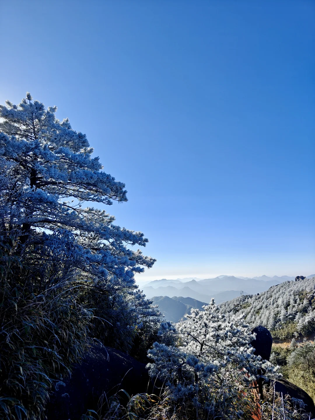 距福州2h🚗:黄山平替，带娃赏雾凇观云海