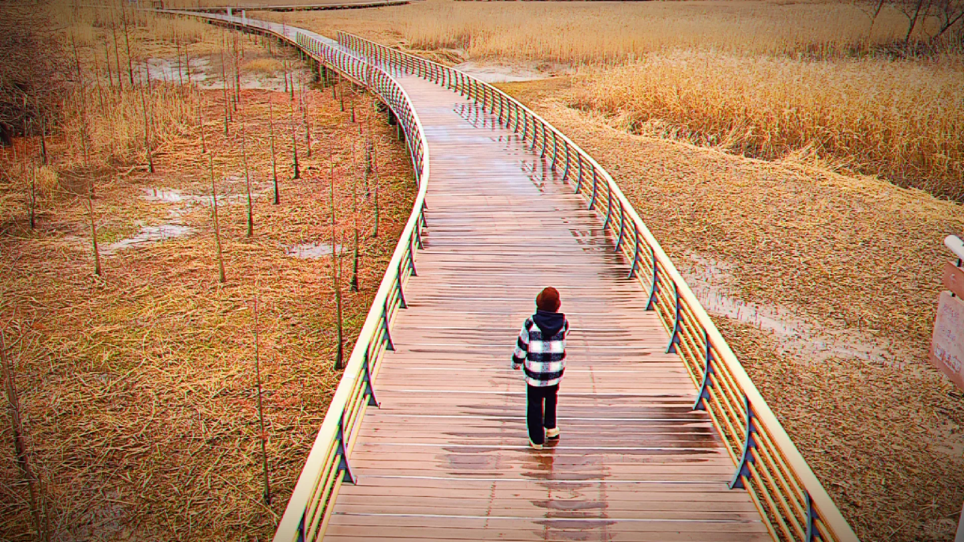 世界十大湿地之一我去过了