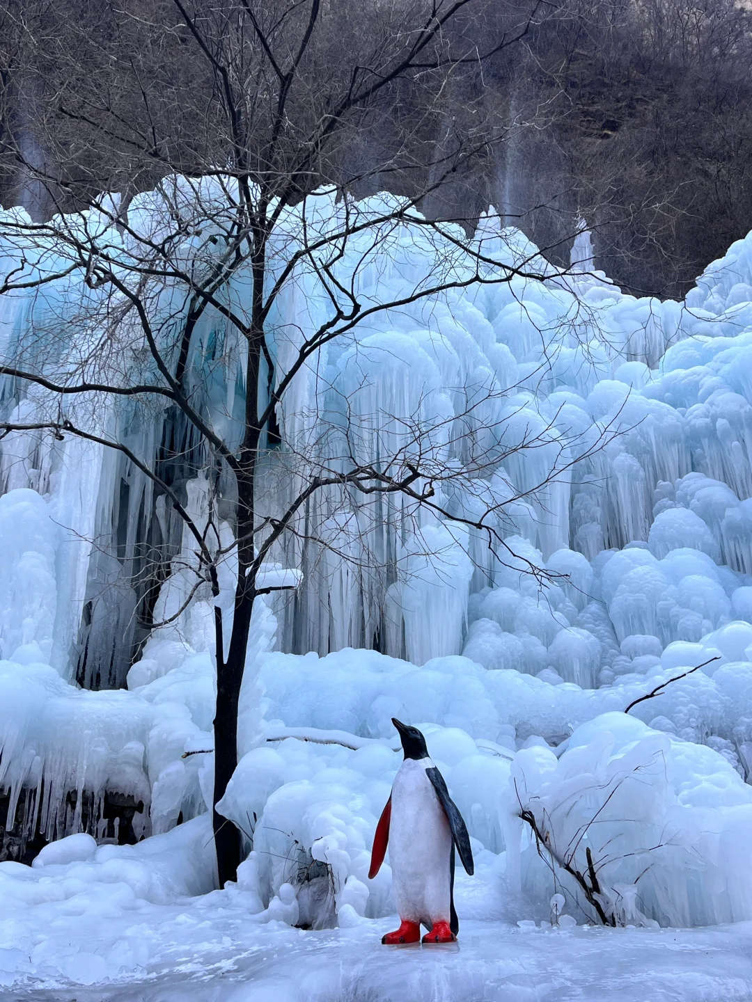 郑州-云台山一日游攻略（悠闲版❗️过年必备❗️
