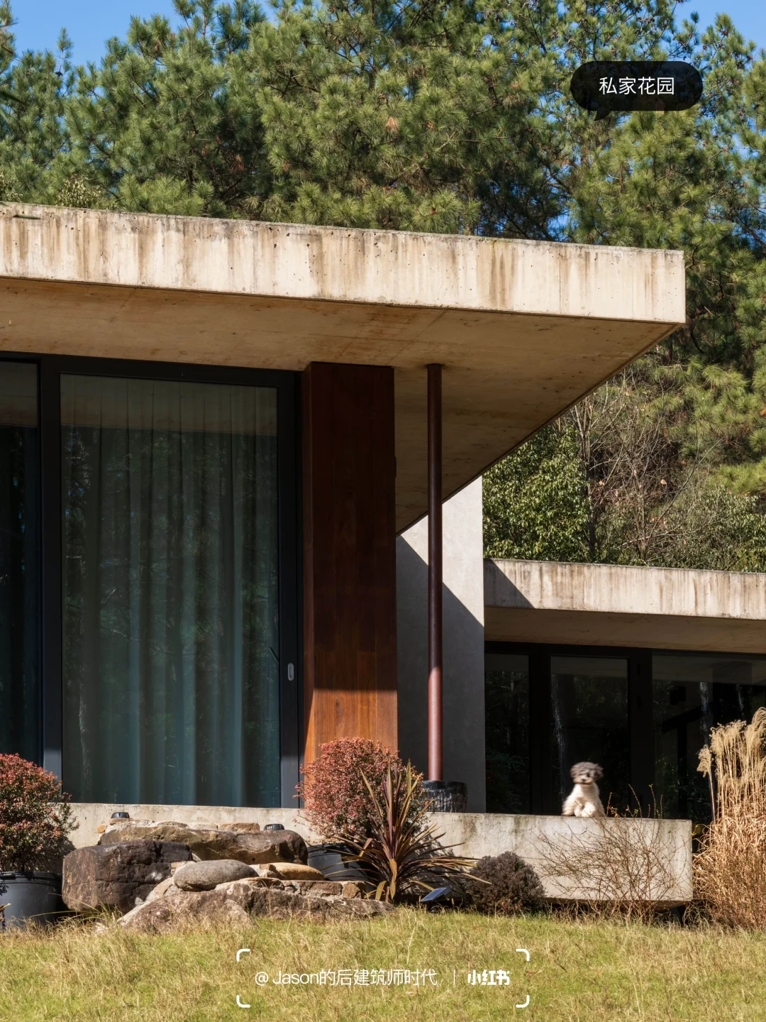 带着爱宠住进梦想中的现代别墅，不想退房😂