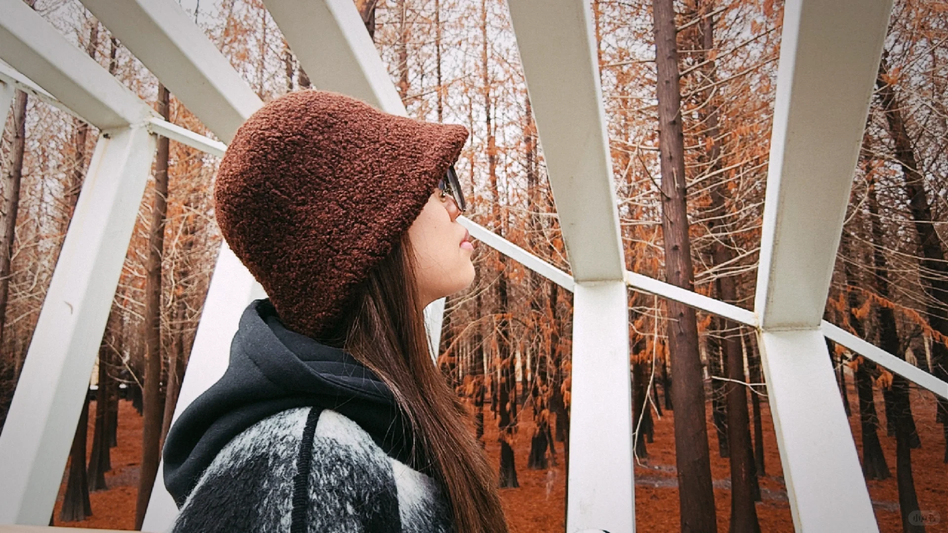 世界十大湿地之一我去过了