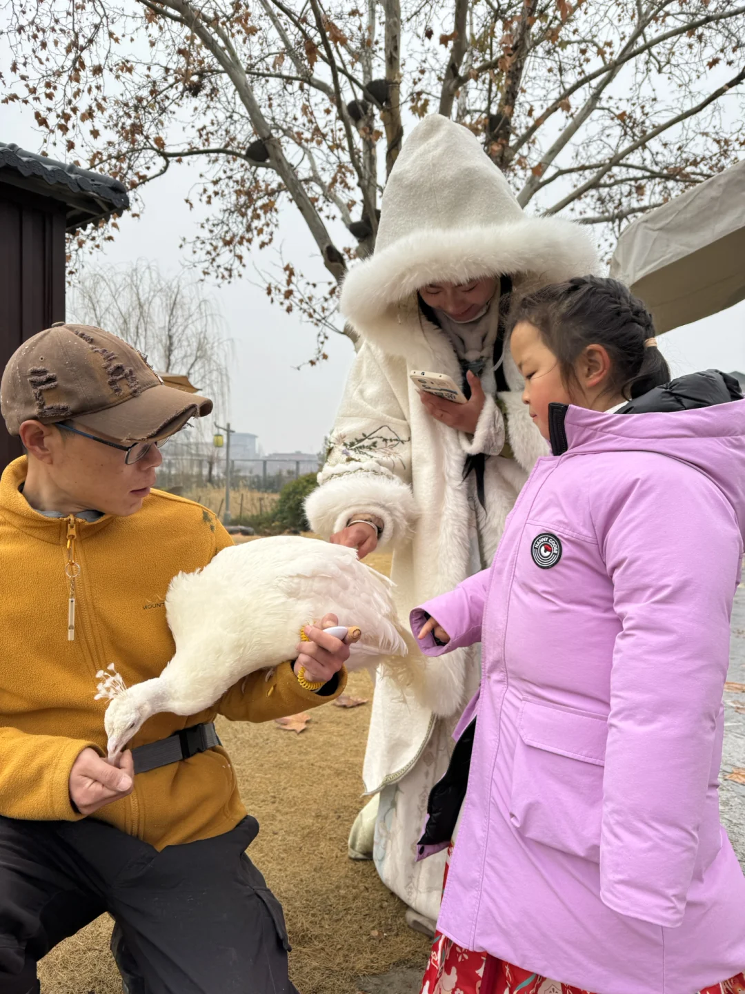 开封也太好玩了