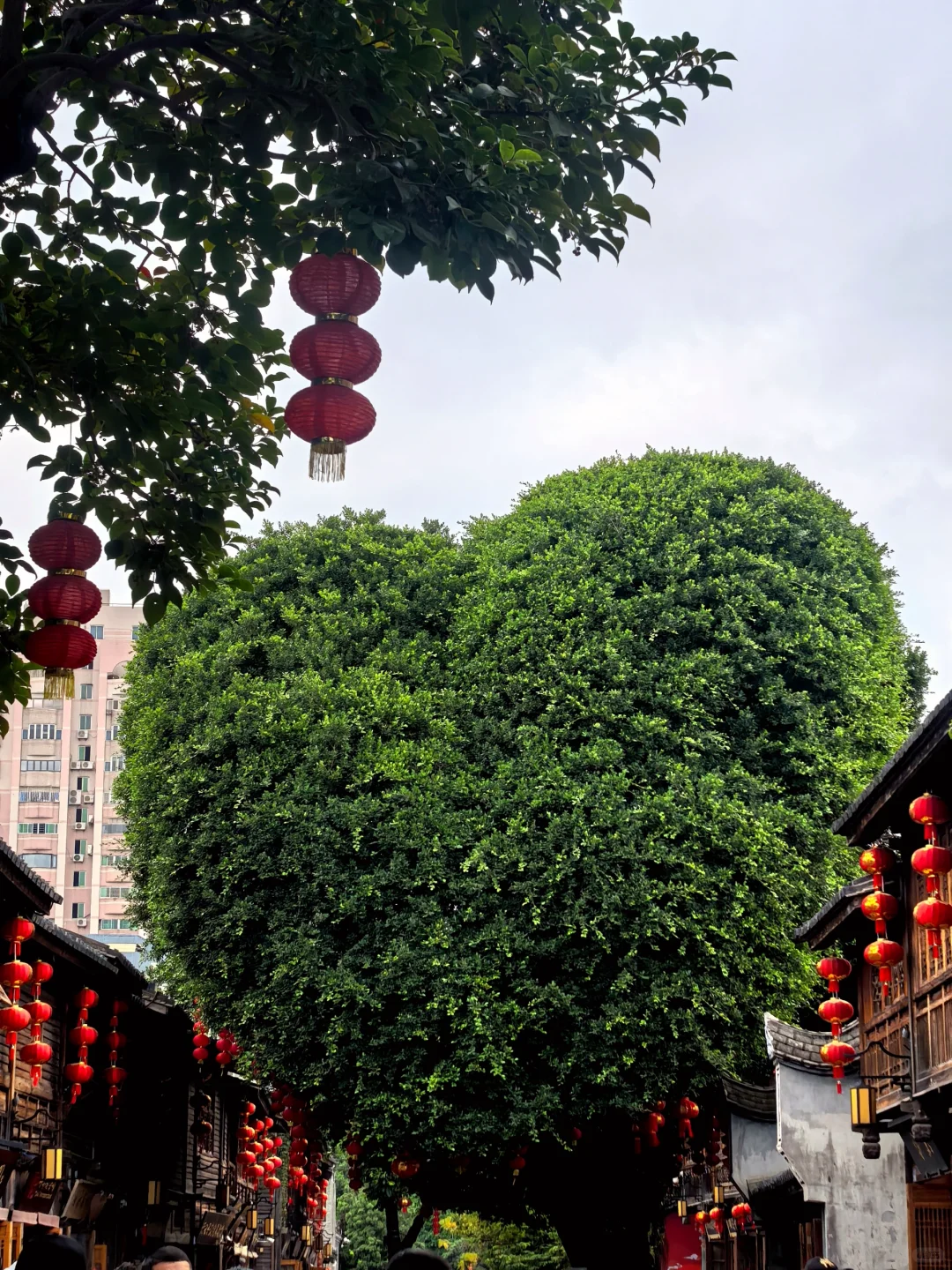 有一说一，福州比南京好玩