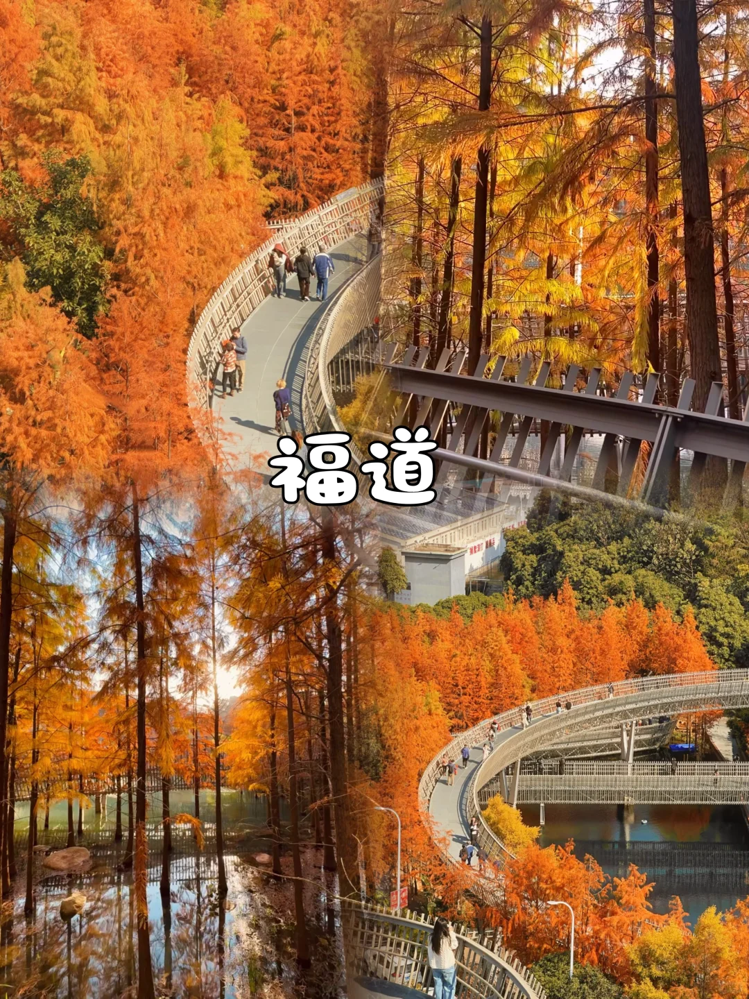 福州📍假期Citywalk 保姆级旅游攻略‼️