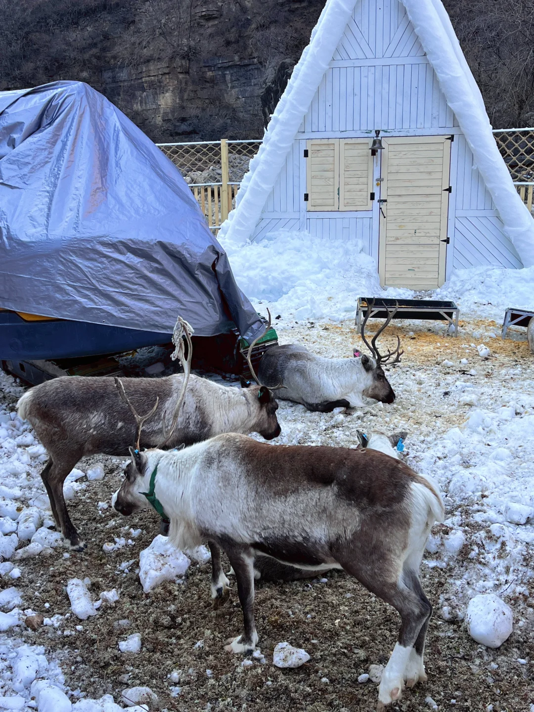郑州-云台山一日游攻略（悠闲版❗️过年必备❗️