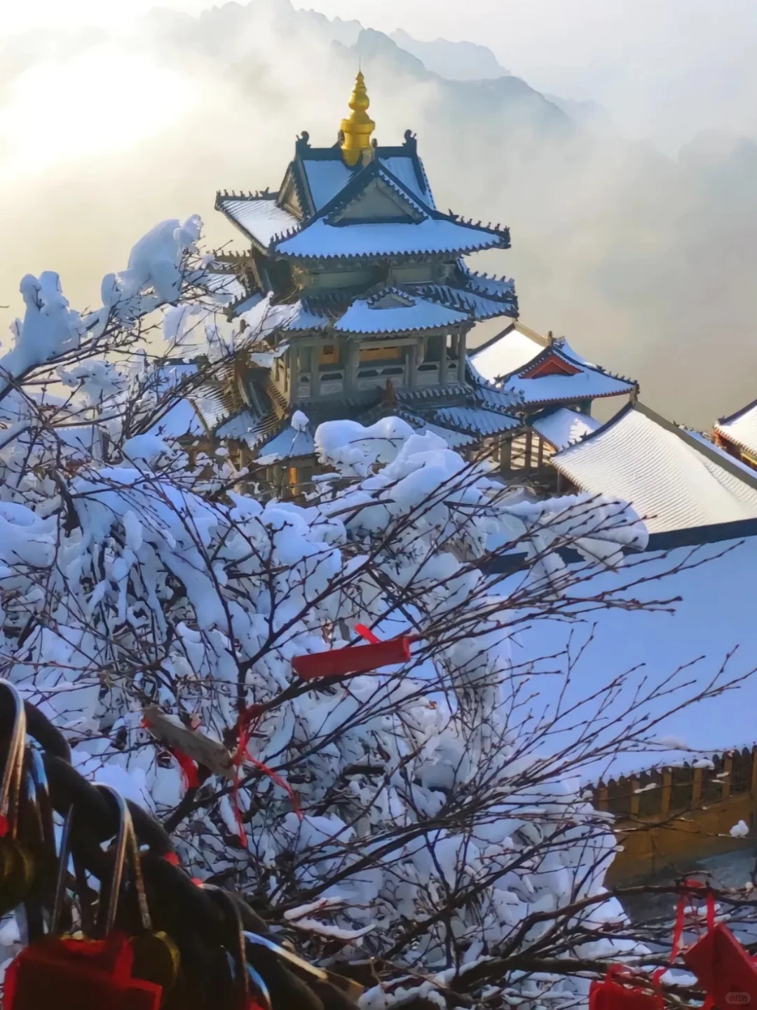 1.28号老君山实况，抵达山顶崩不住了，太美了