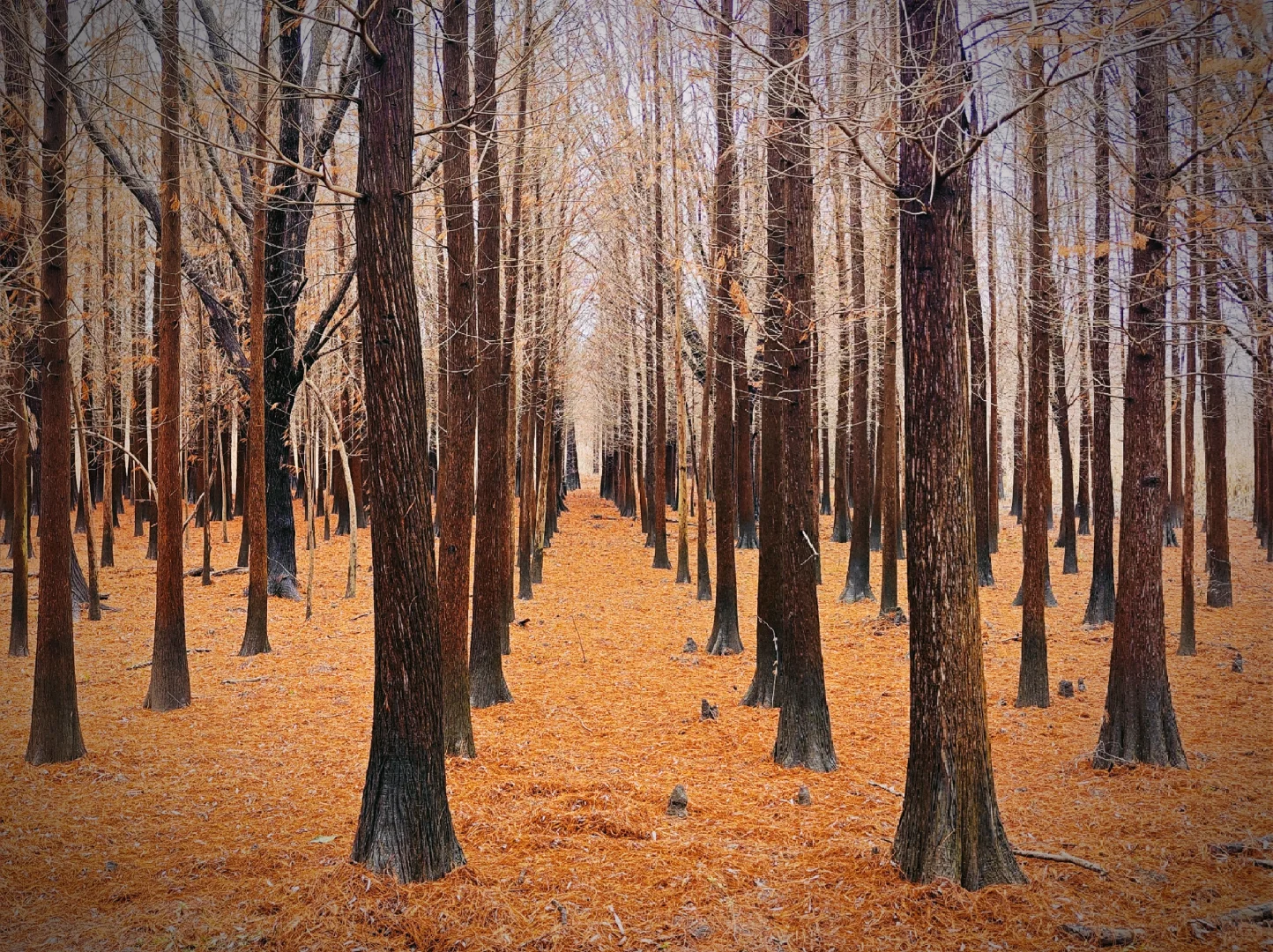 世界十大湿地之一我去过了