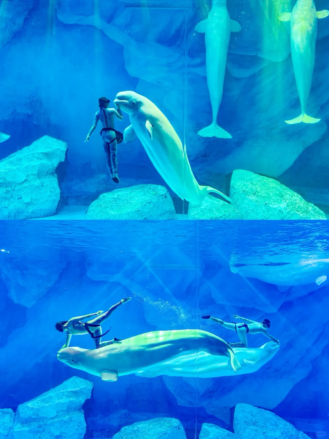 当海洋和非遗融合,我被这年味狠狠震撼到了!