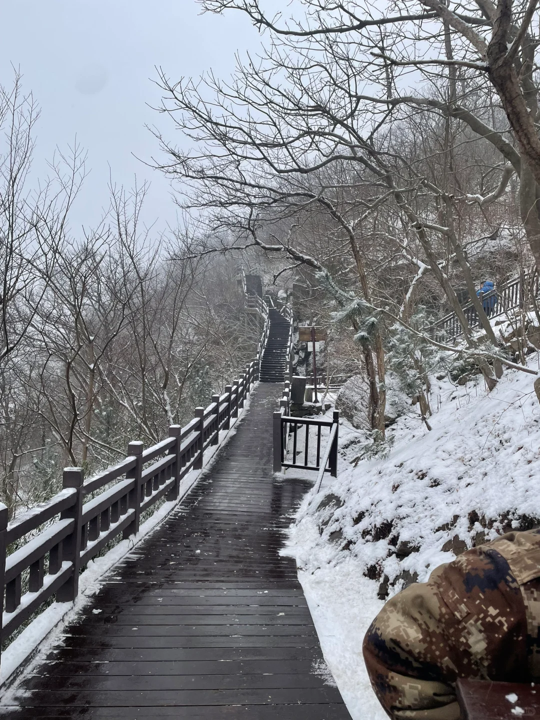 📍连云港 值得一去的苏北海滨小城🌊