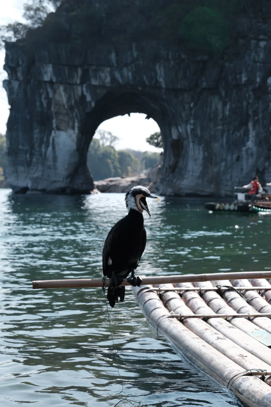想看大家的象鼻山打卡机位!(个人经验帖