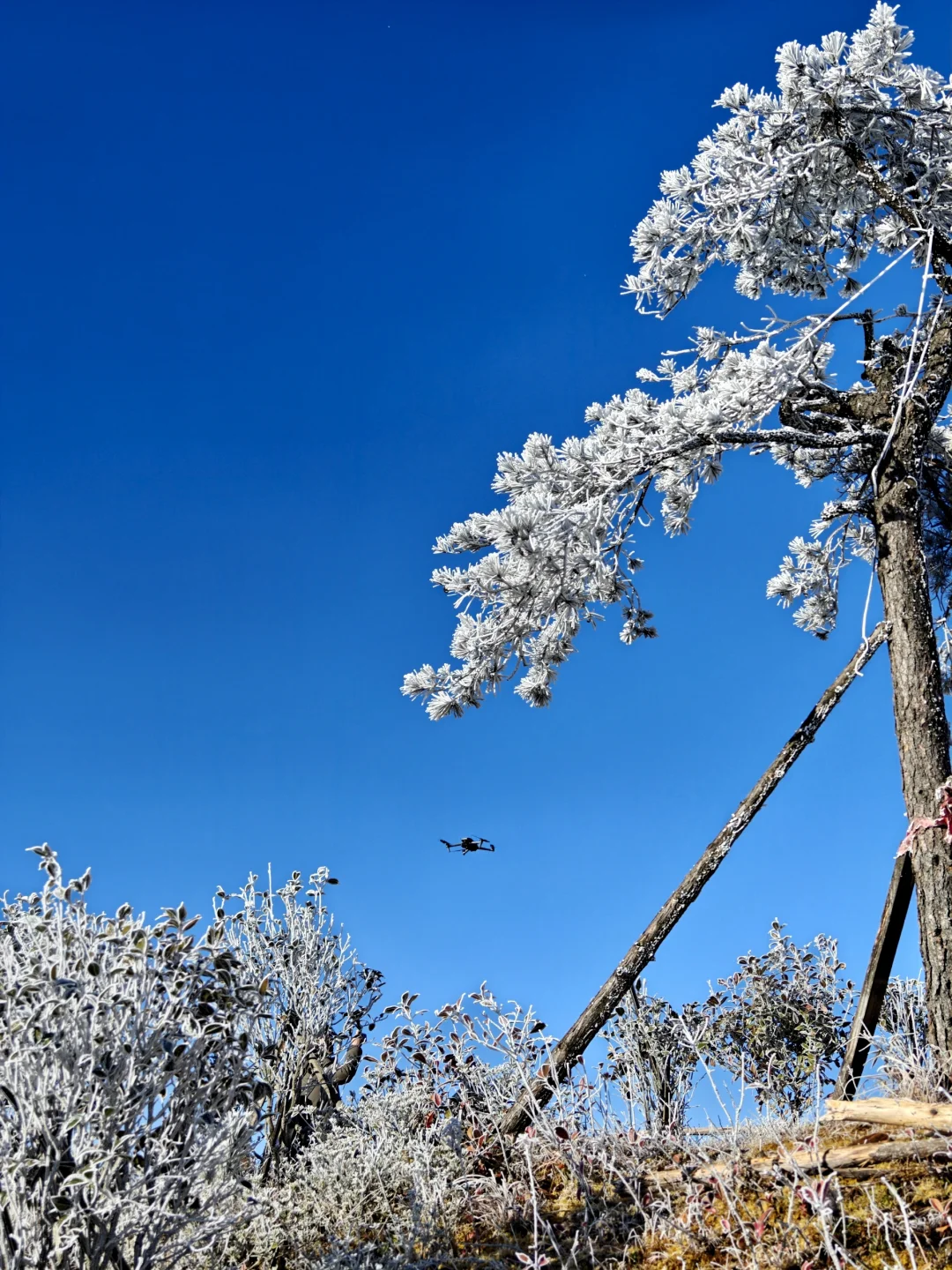 距福州2h🚗:黄山平替，带娃赏雾凇观云海
