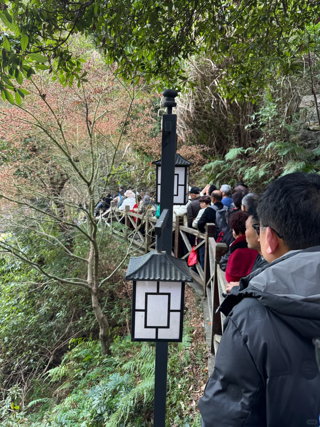 狠狠避雷雁荡山❗️