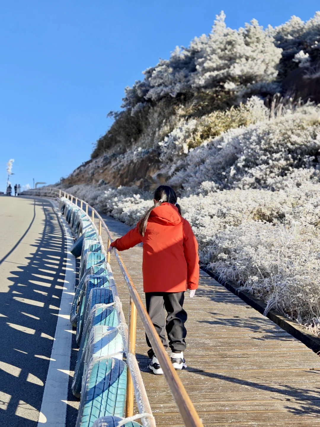 距福州2h🚗:黄山平替，带娃赏雾凇观云海