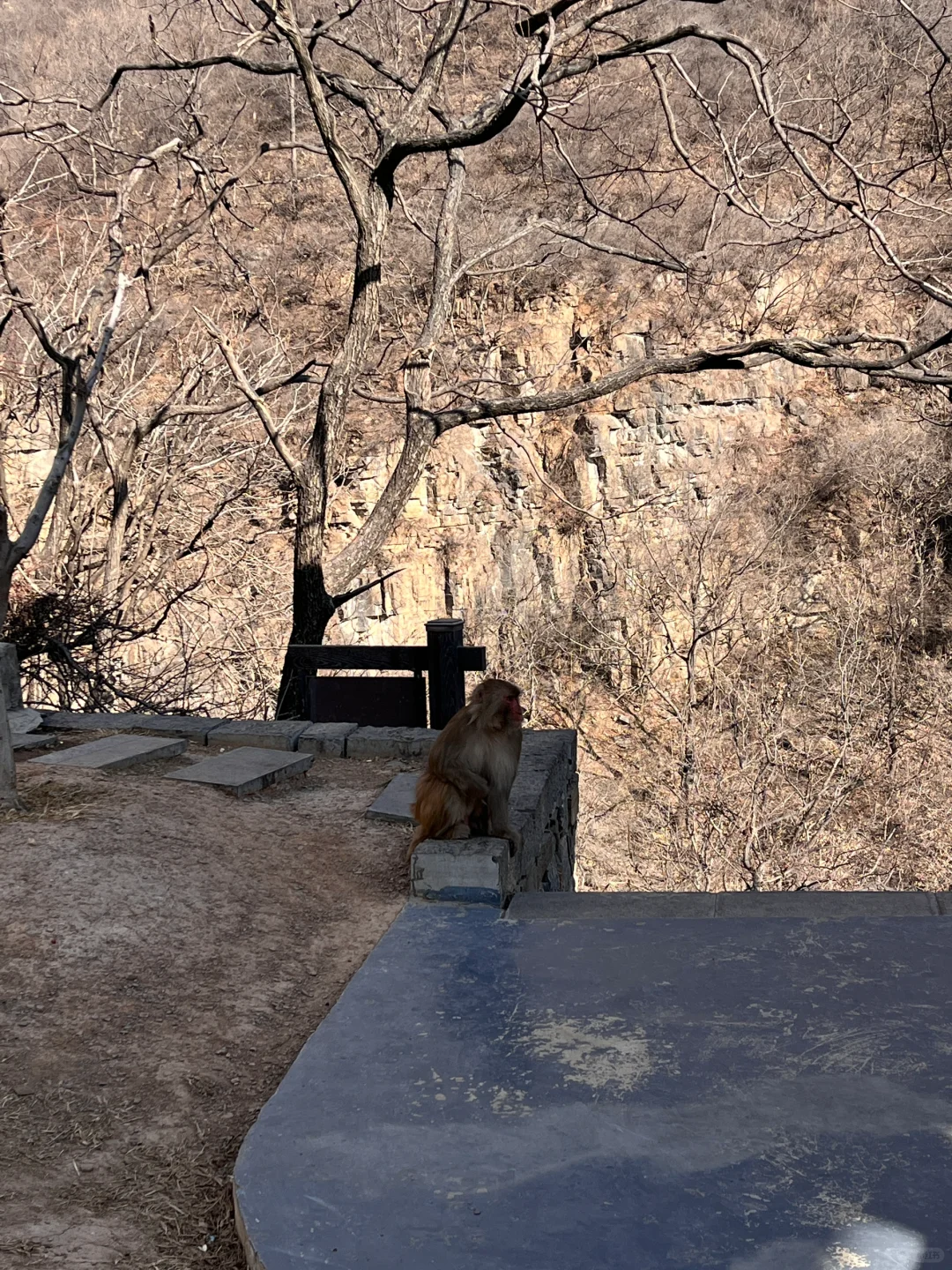 郑州-云台山一日游攻略（悠闲版❗️过年必备❗️