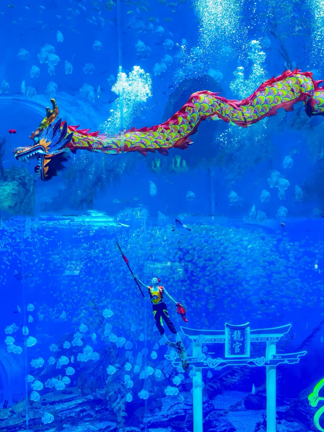 当海洋和非遗融合,我被这年味狠狠震撼到了!