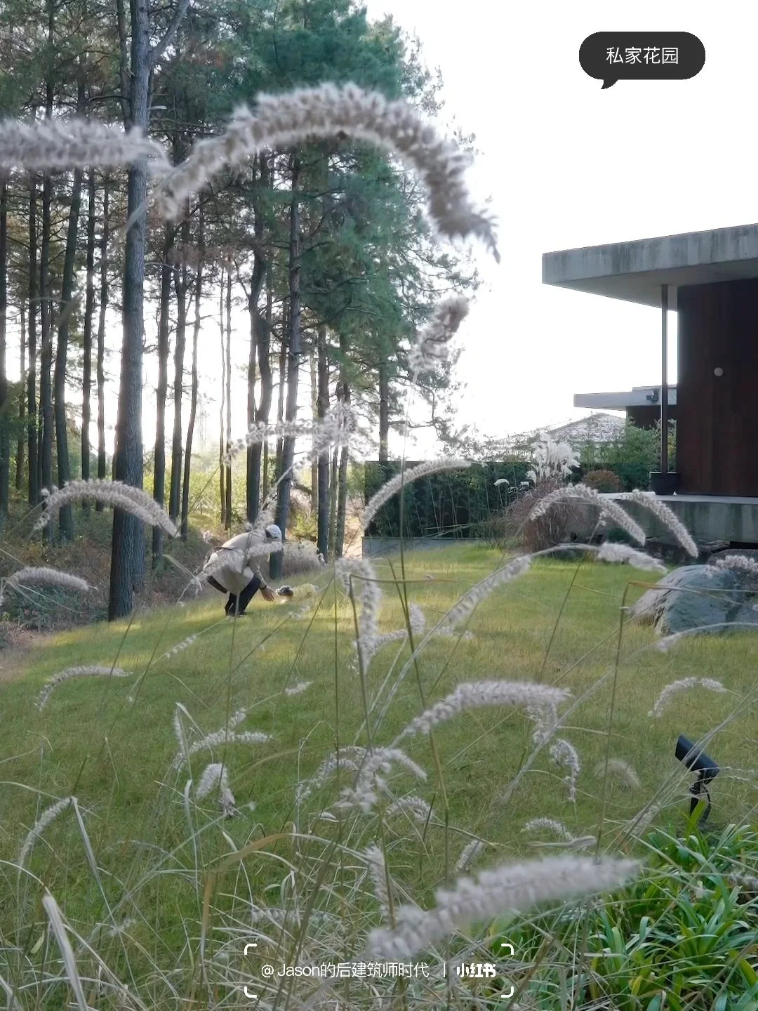 带着爱宠住进梦想中的现代别墅，不想退房😂