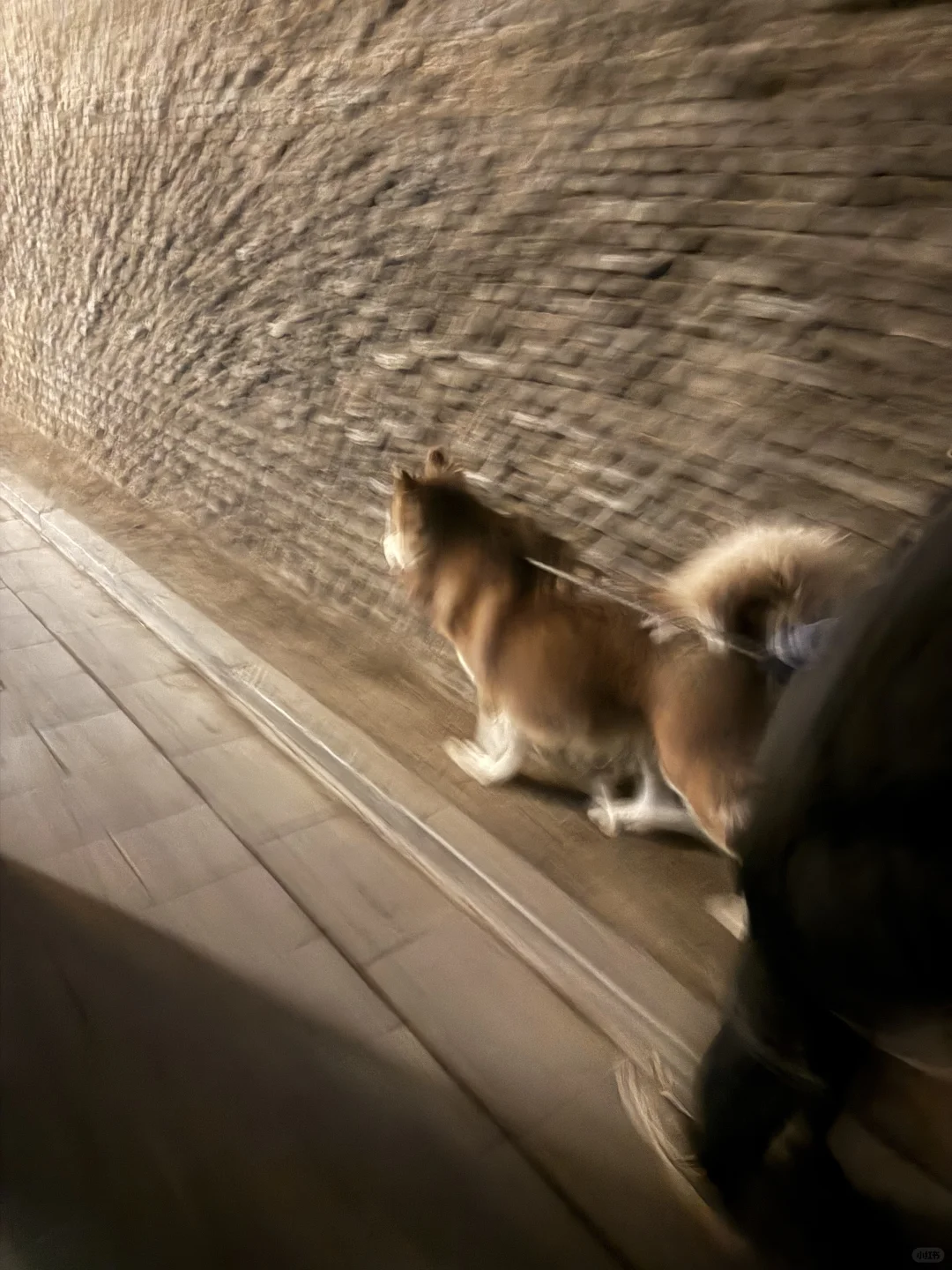 新年伊始🧧｜山西大环线· 𝗣𝗮𝗿𝘁.𝟭🚶🏻