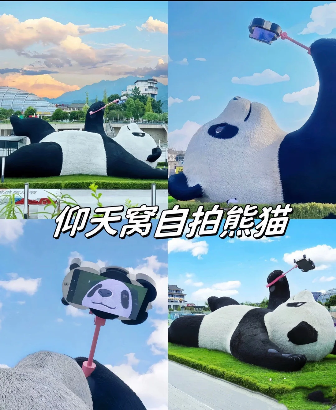 都江堰一日游攻略，直接抄作业‼️