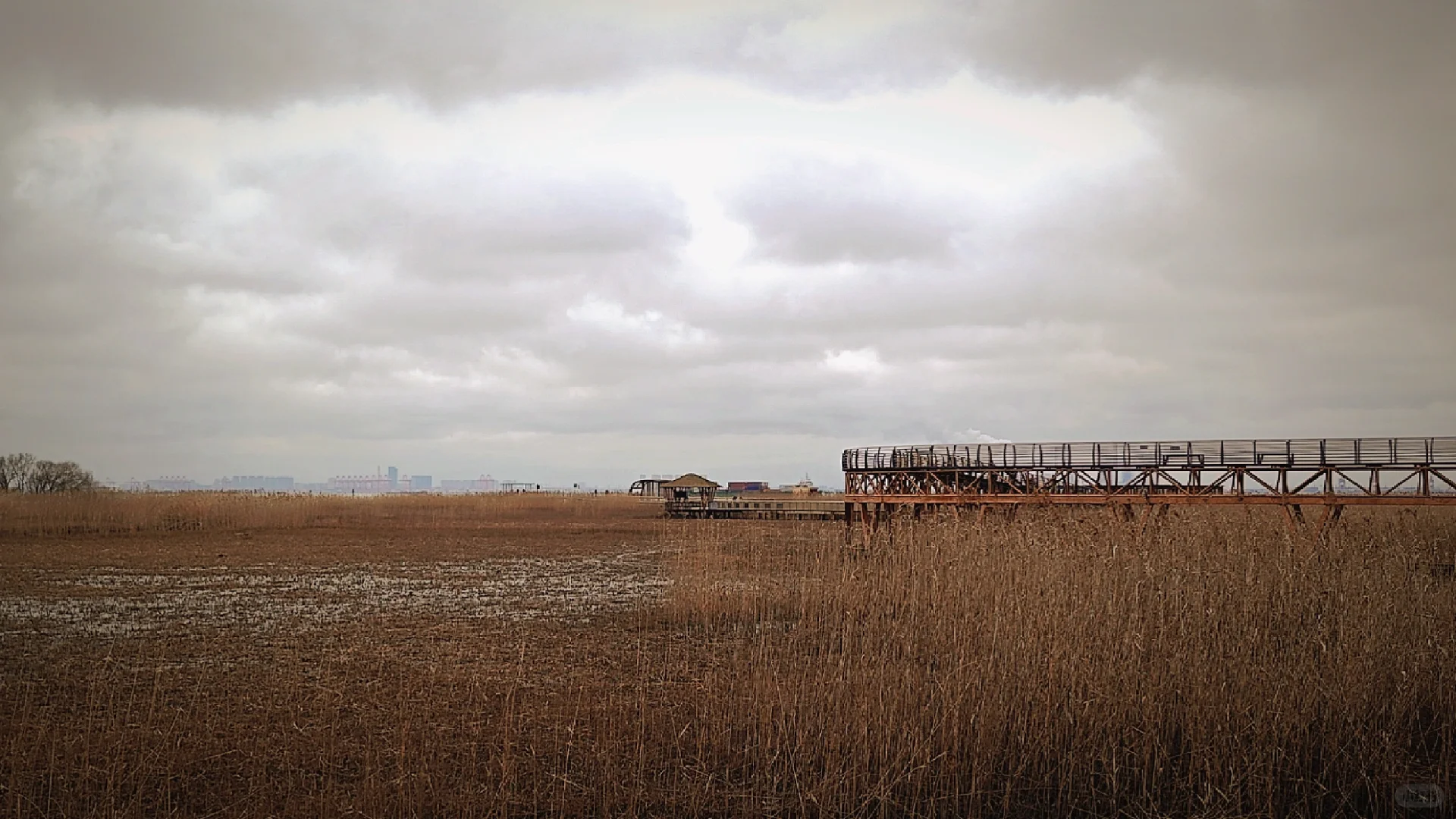 世界十大湿地之一我去过了