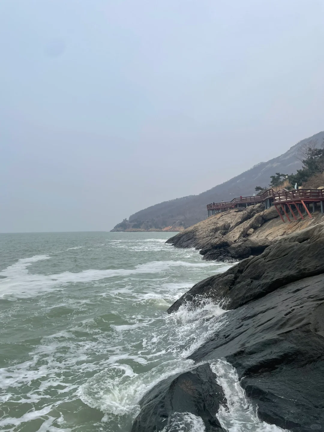 📍连云港 值得一去的苏北海滨小城🌊