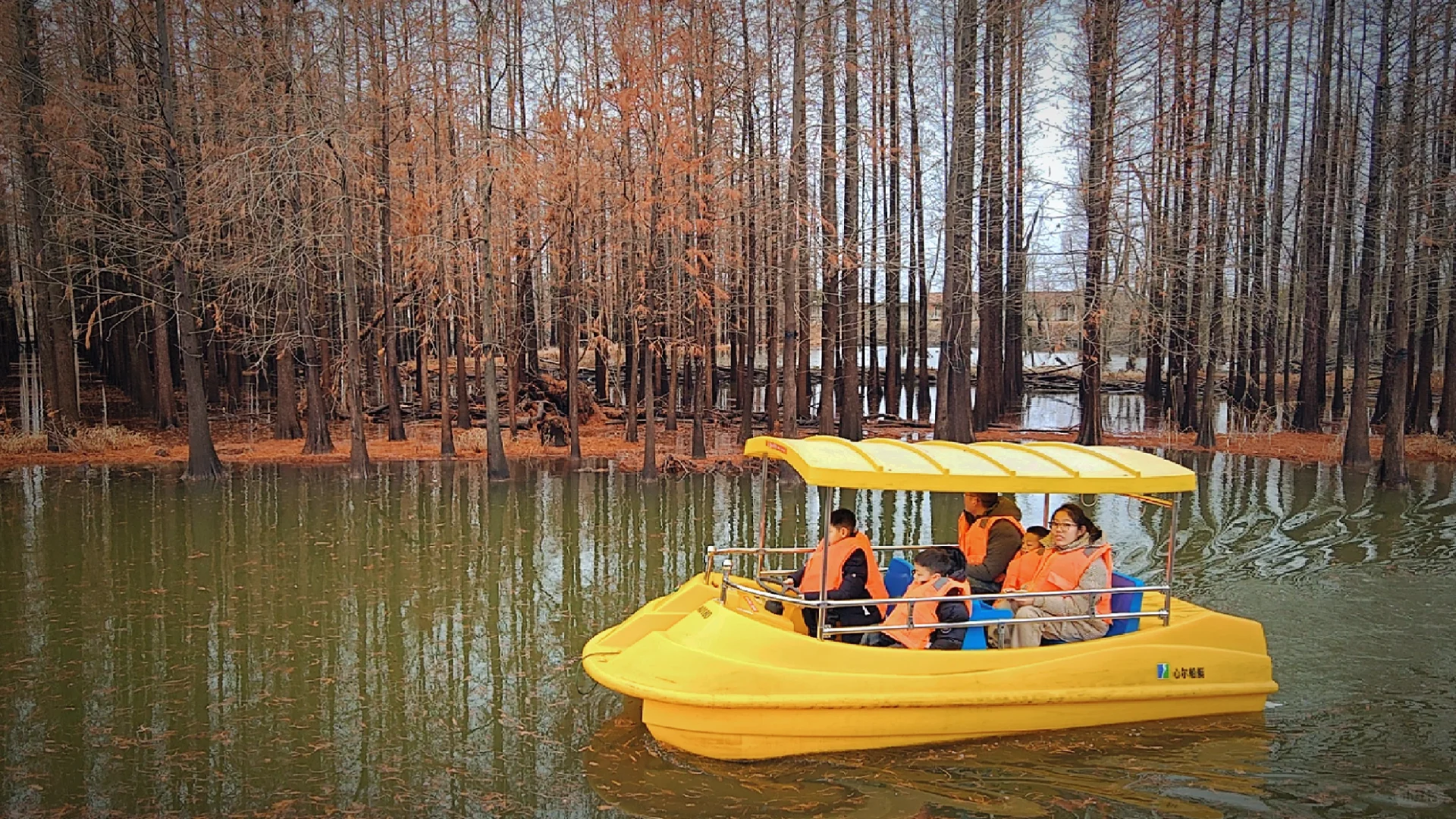 世界十大湿地之一我去过了