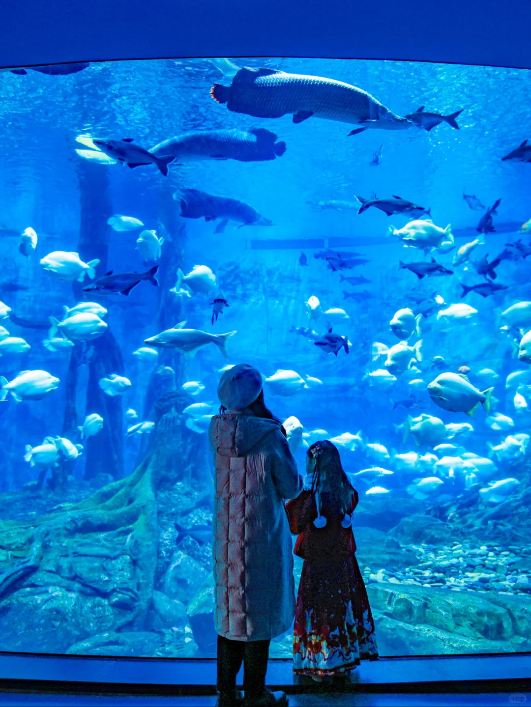 当海洋和非遗融合,我被这年味狠狠震撼到了!