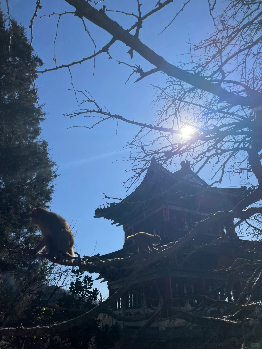 📍连云港 值得一去的苏北海滨小城🌊