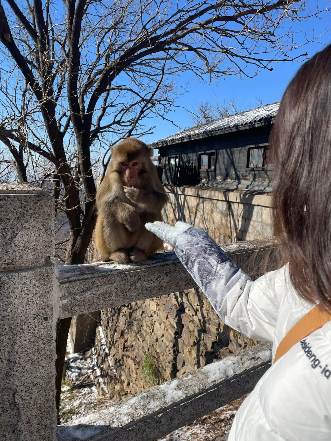 📍连云港 值得一去的苏北海滨小城🌊