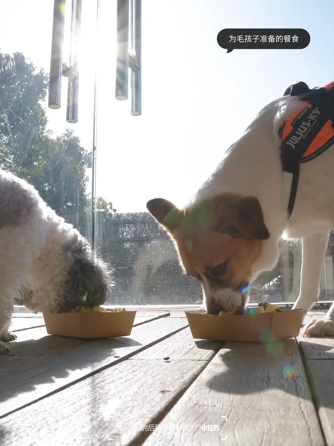 带着爱宠住进梦想中的现代别墅，不想退房😂