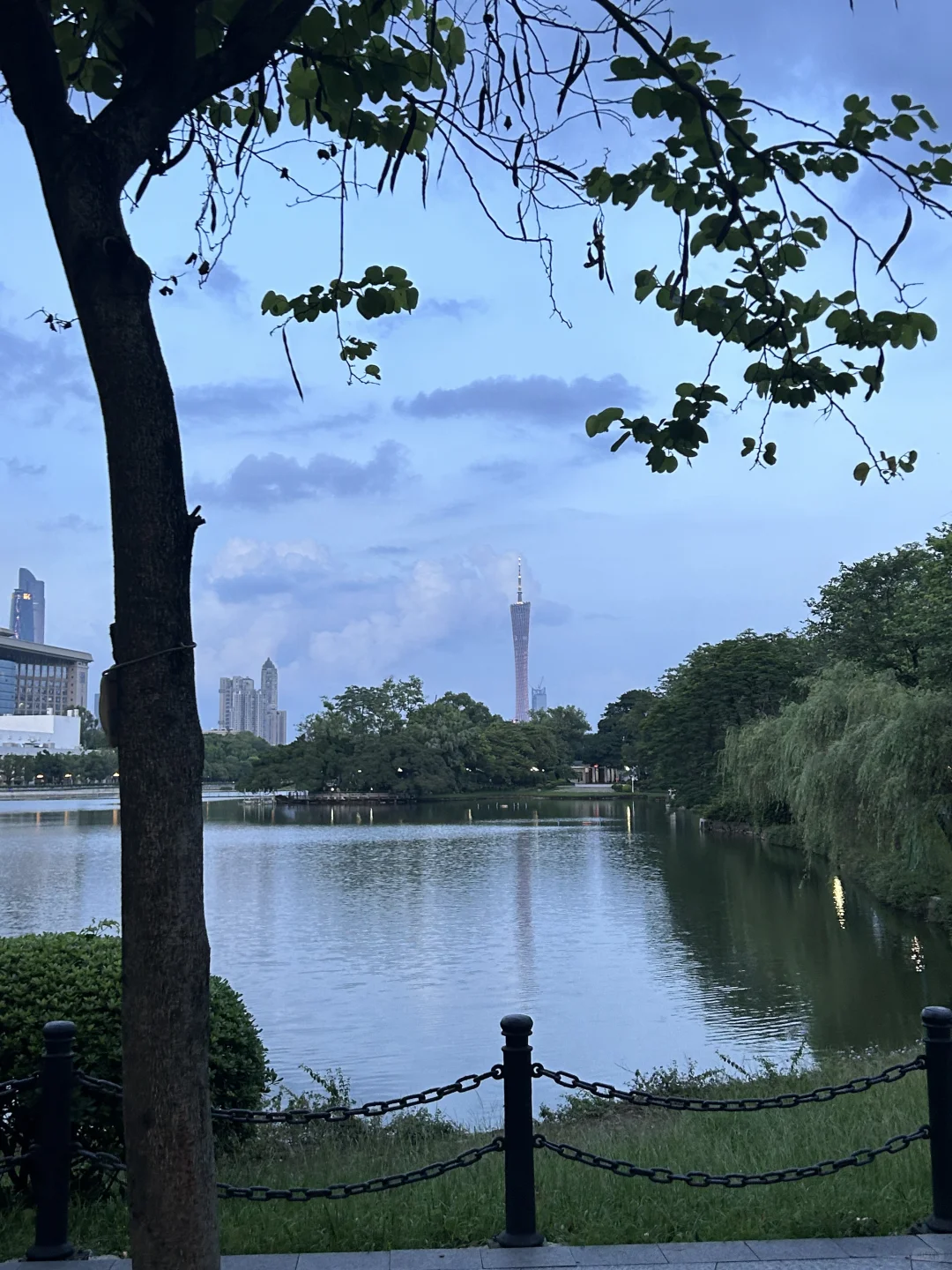 广州根本不是小红书上说的那样。。。