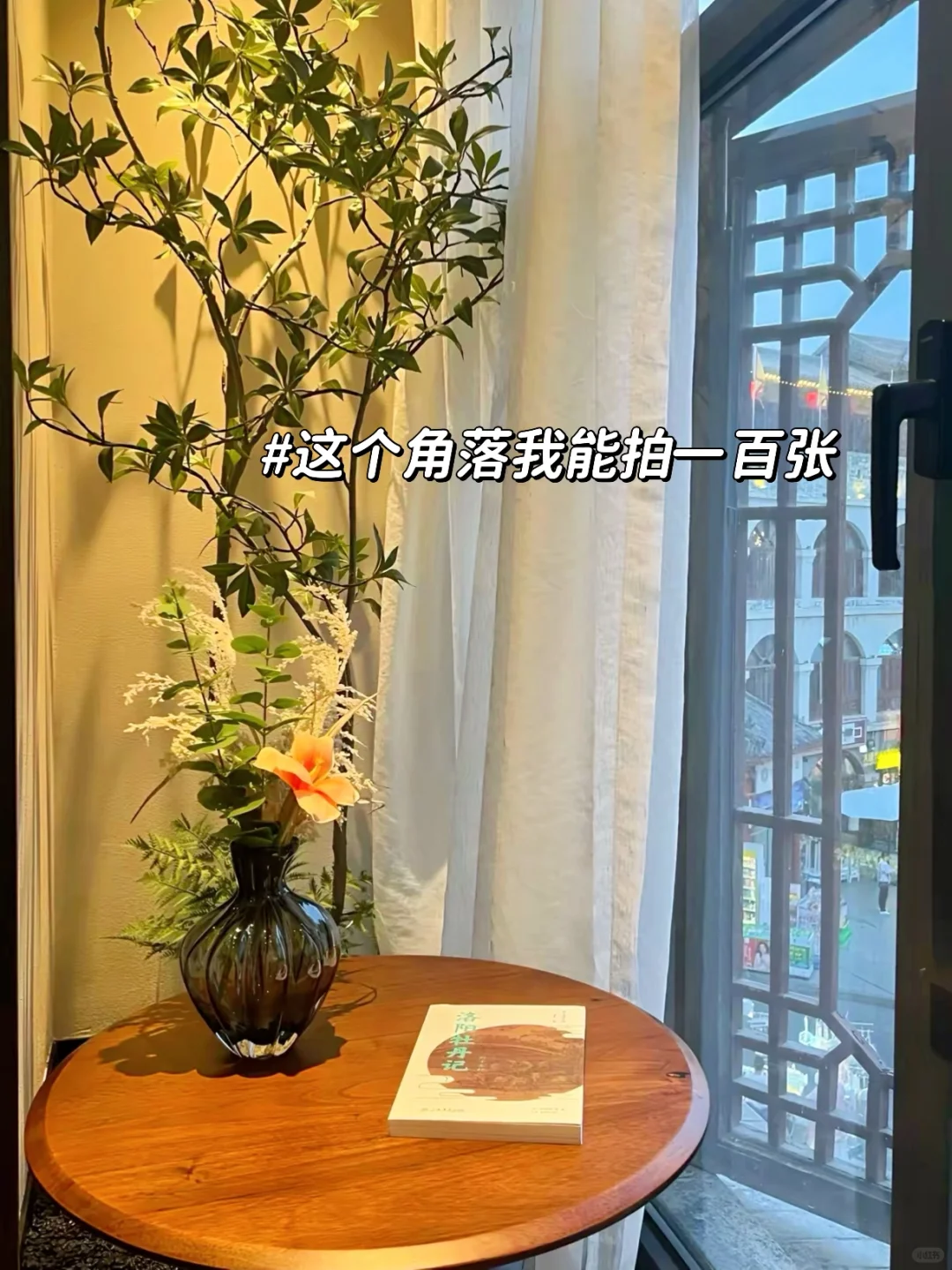 1-3🈷春节&寒假去洛阳，不做攻略劝你别来‼