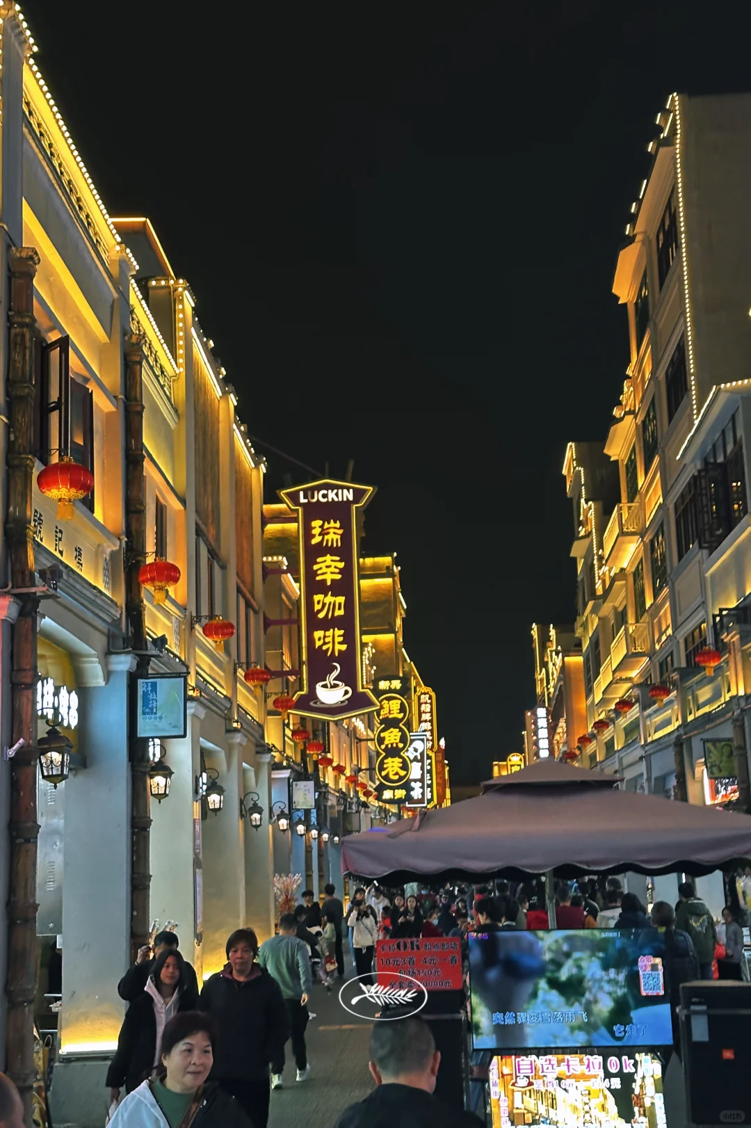 春节好去处-新兴打卡旅游攻略