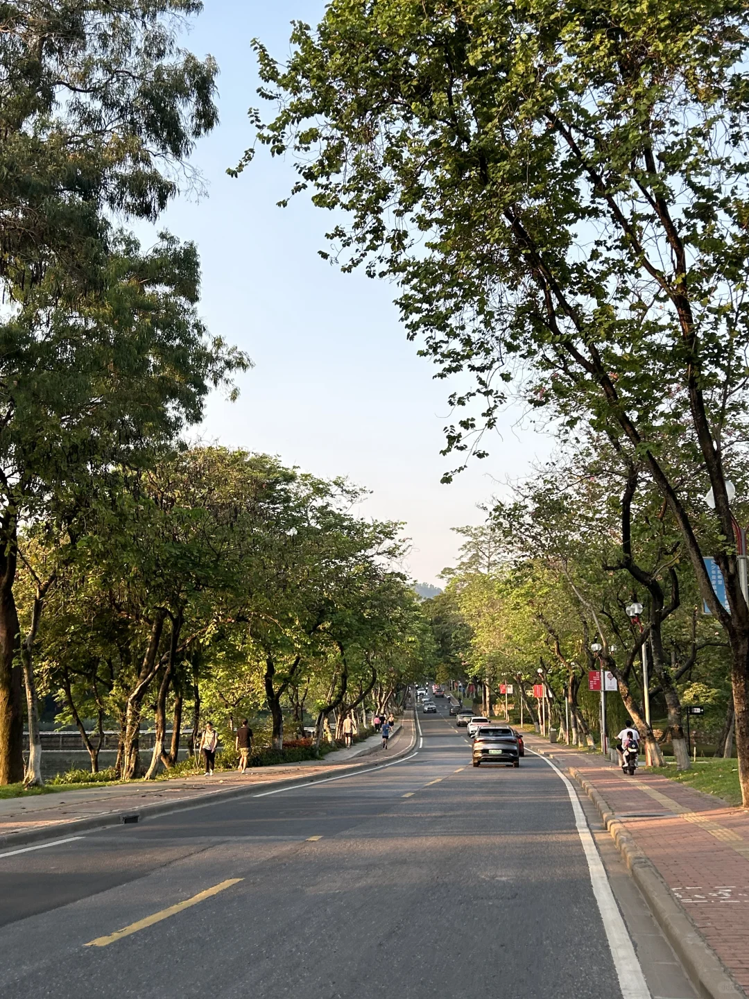 广州根本不是小红书上说的那样。。。